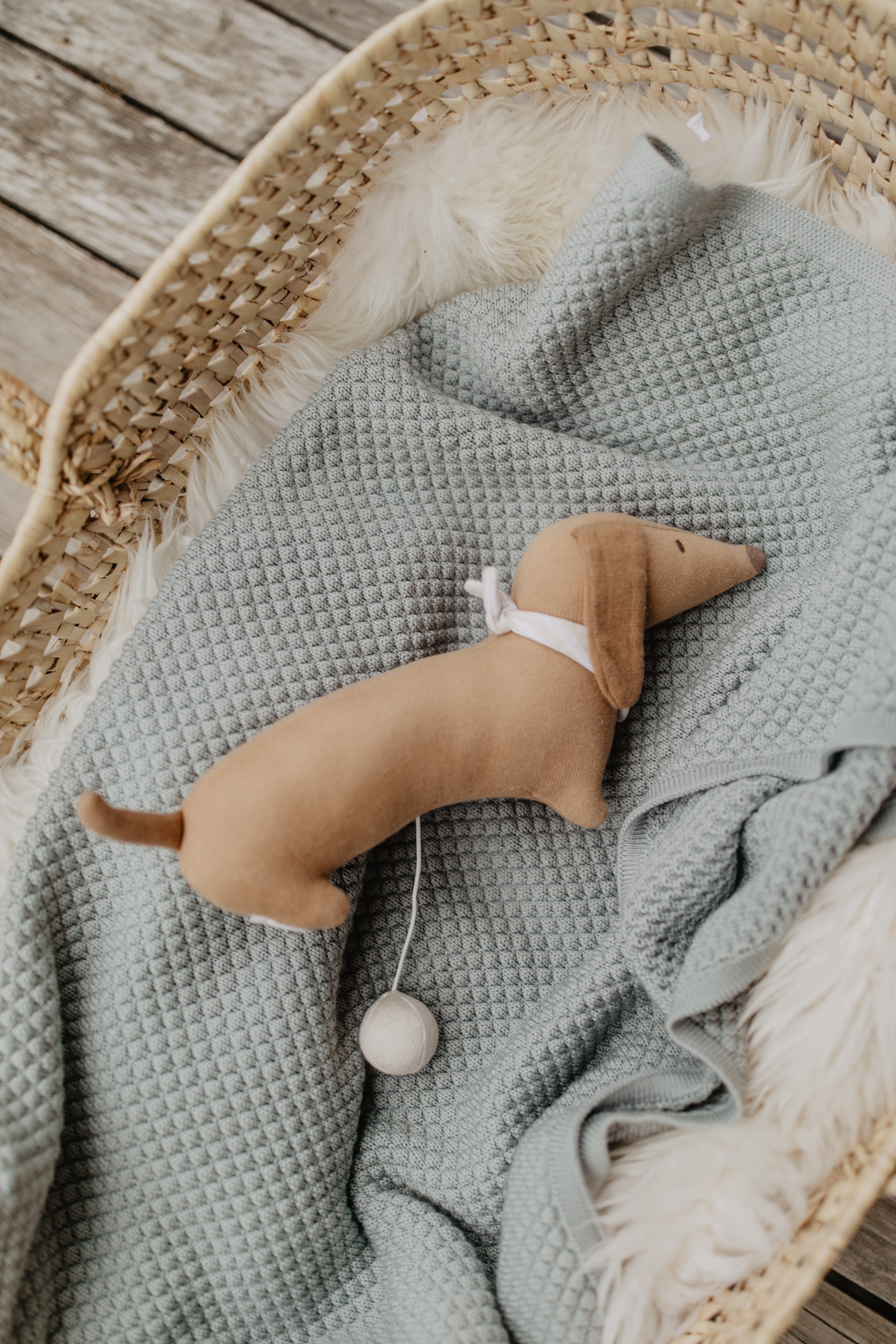Musical Toy 'Dog'