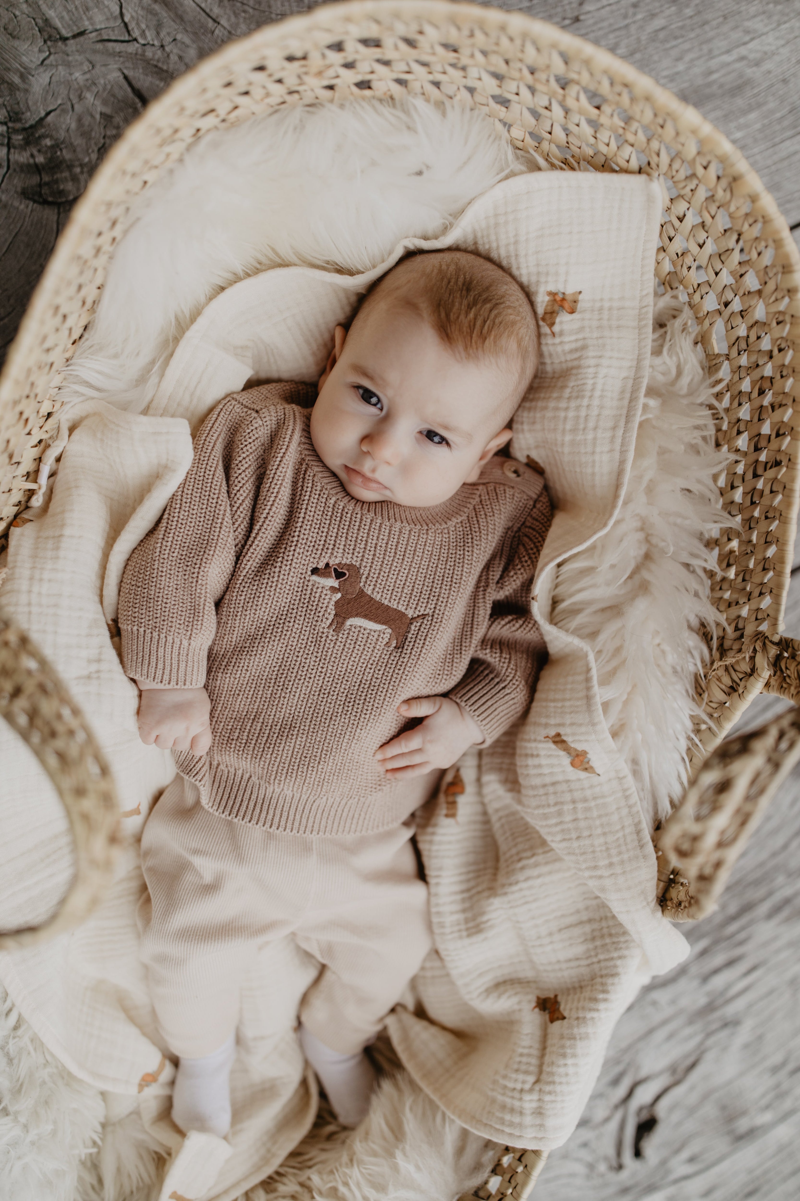 Baby Chunky-Strickpullover 'Dog' dusty rose