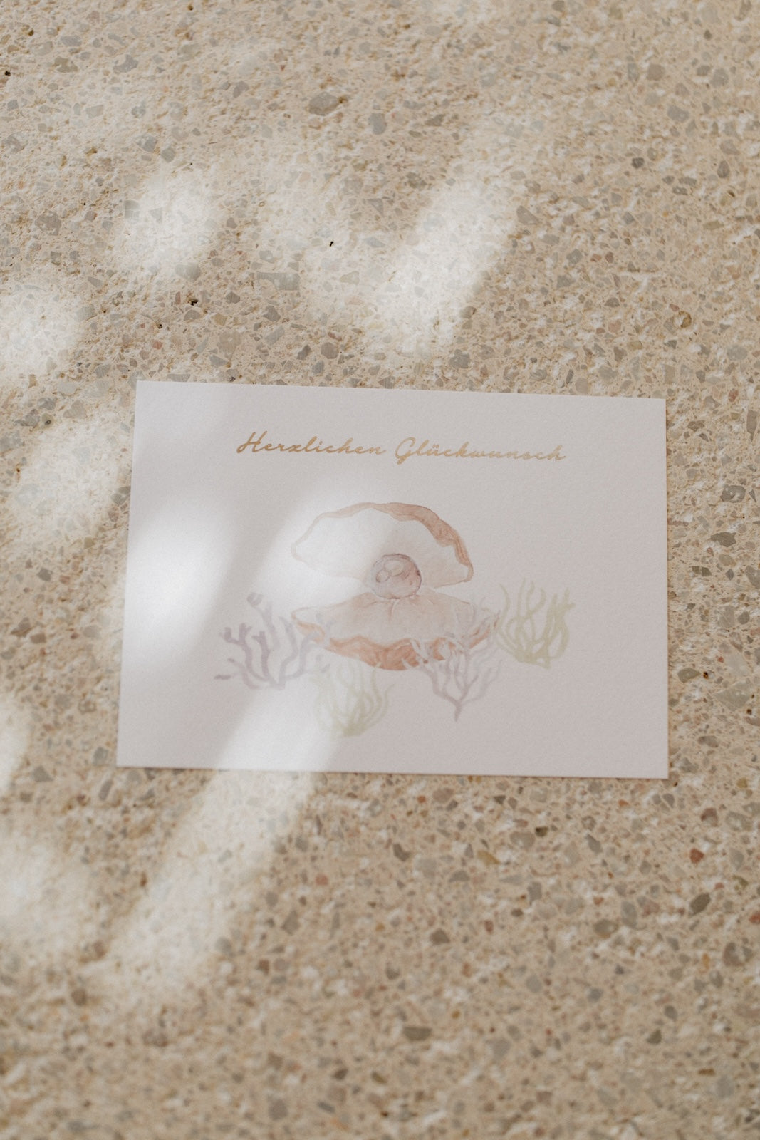 Postkarte Muschel 'herzlichen Glückwunsch'