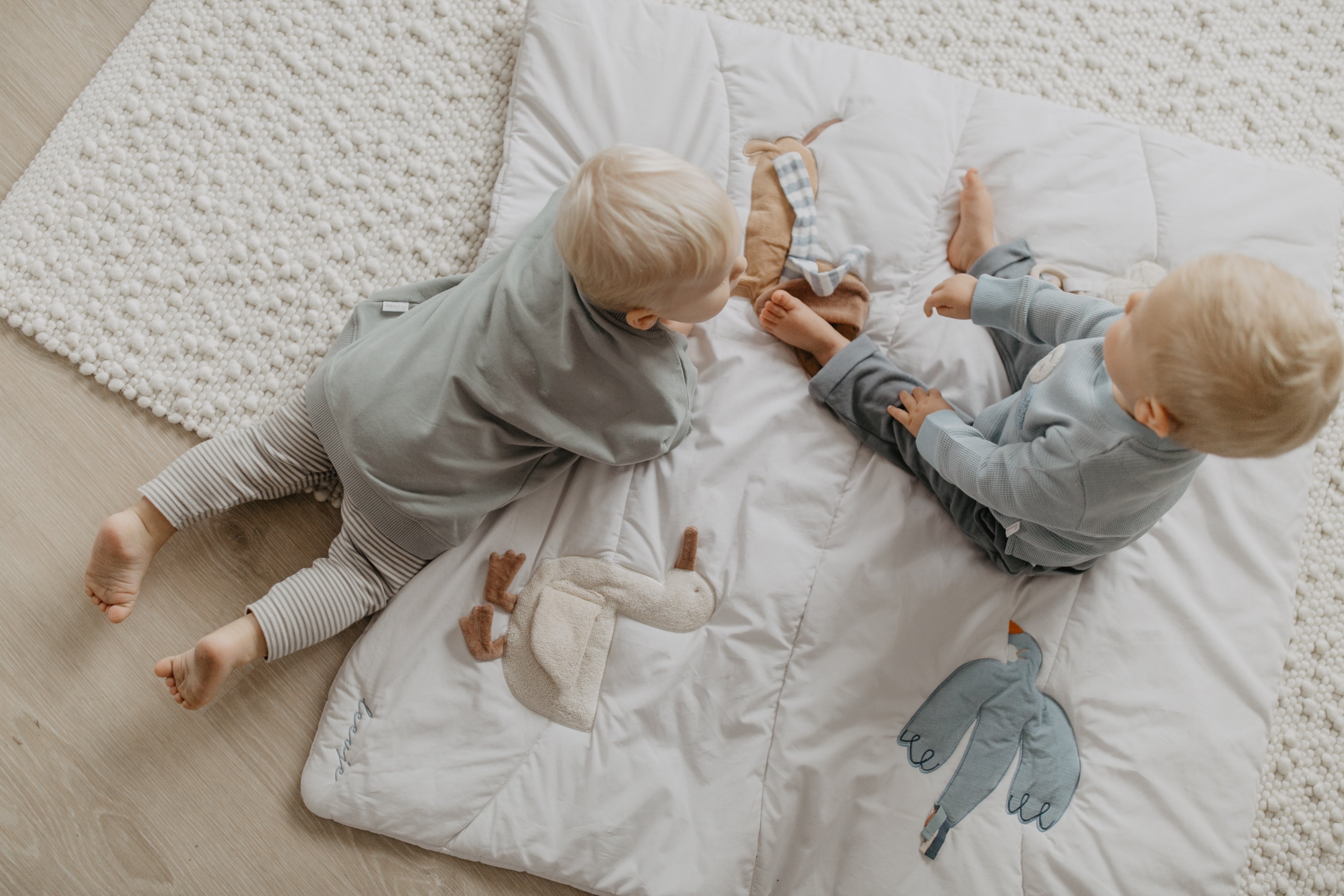 Activity Decke 'dog'