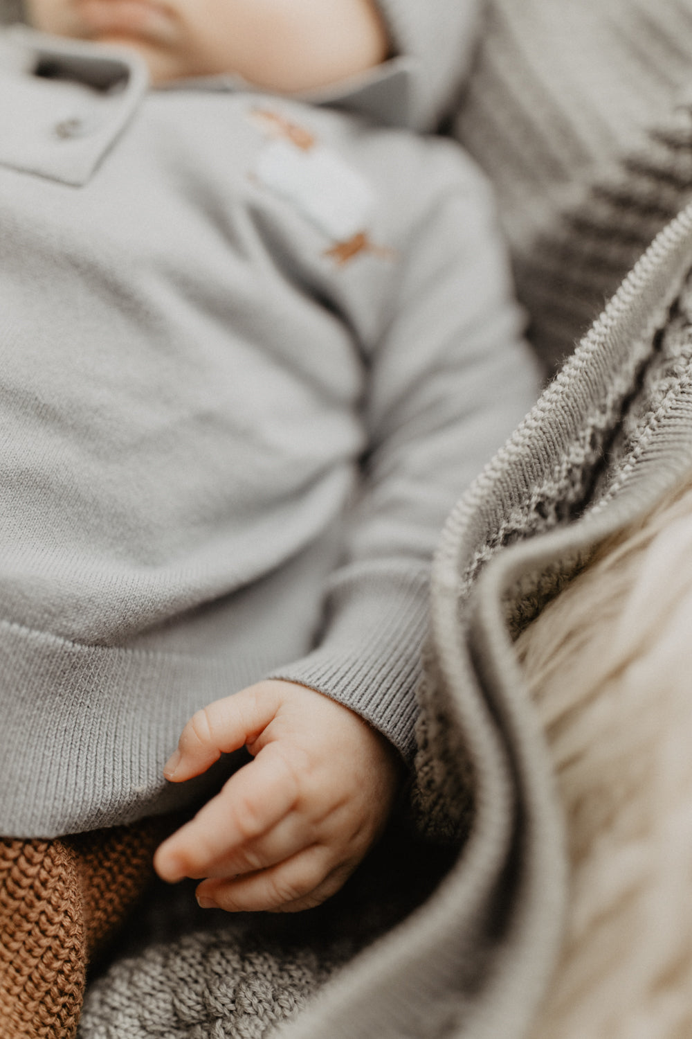 Long-Sleeved Knitted Polo Shirt 'Dog'