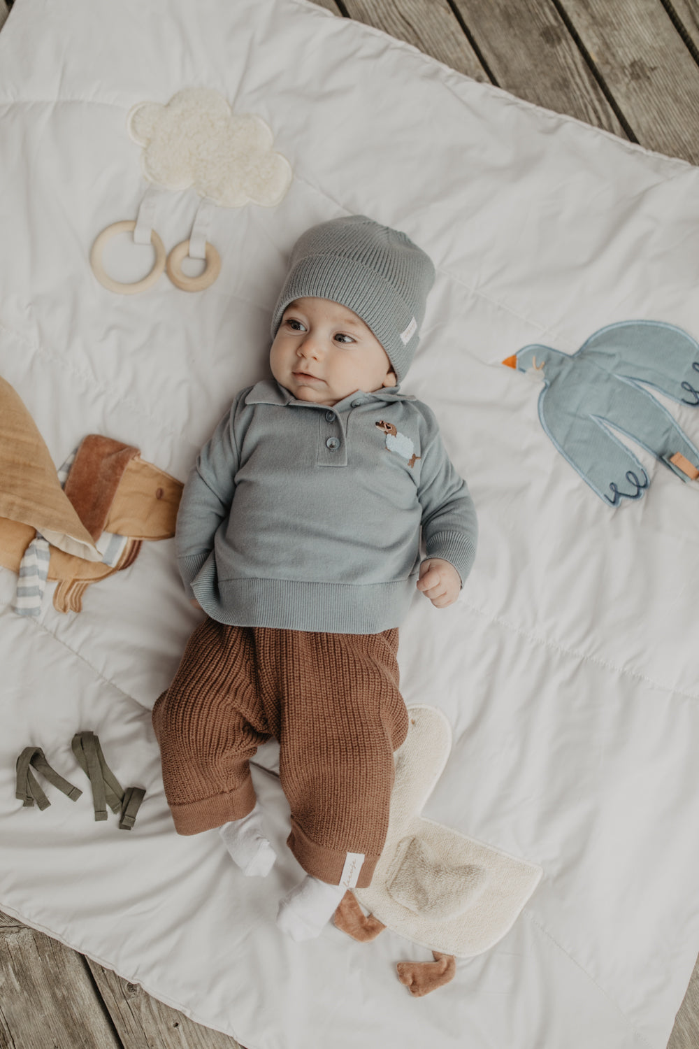 Long-Sleeved Knitted Polo Shirt 'Dog'