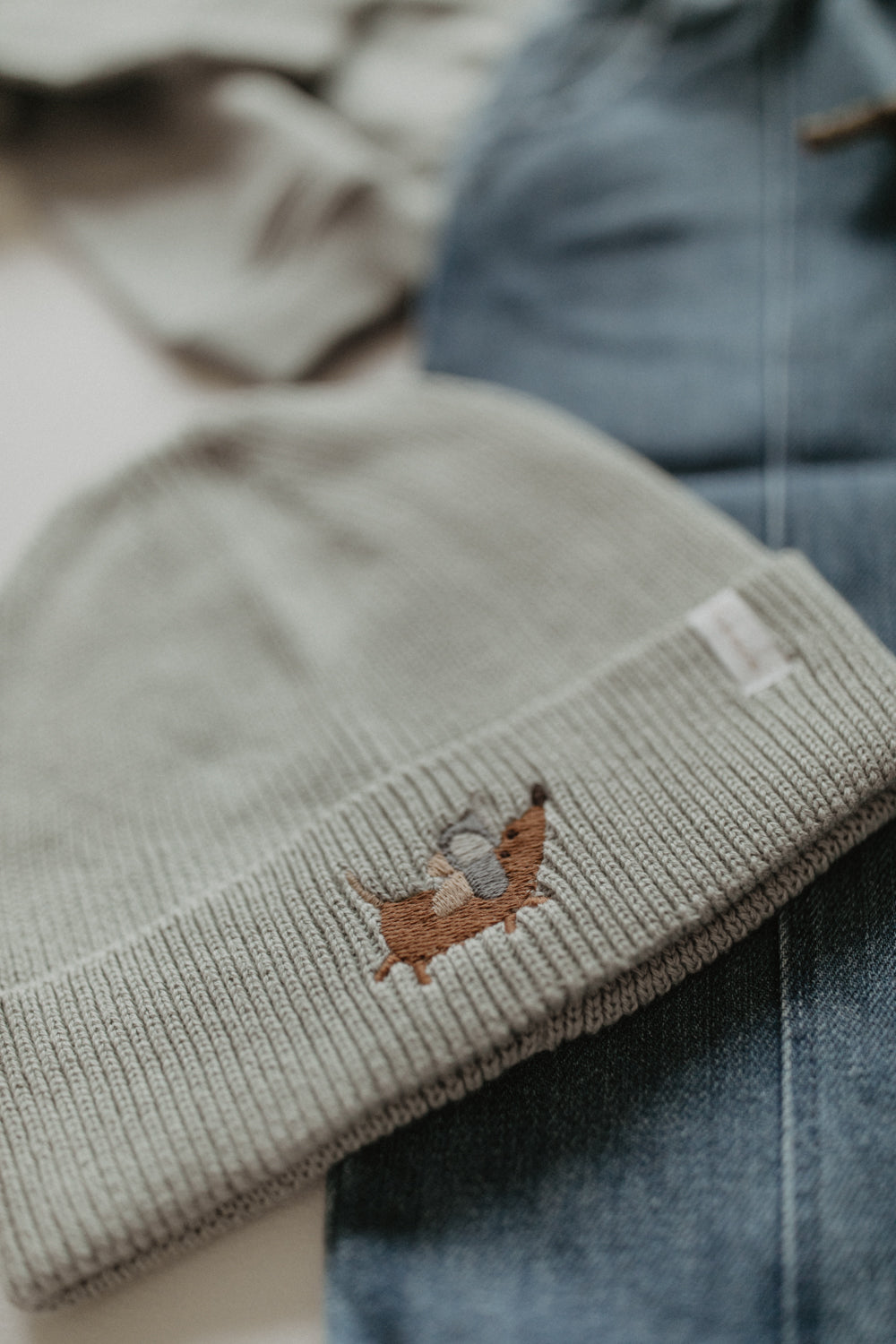 Chunky Knit Beanie 'Dog' soft green