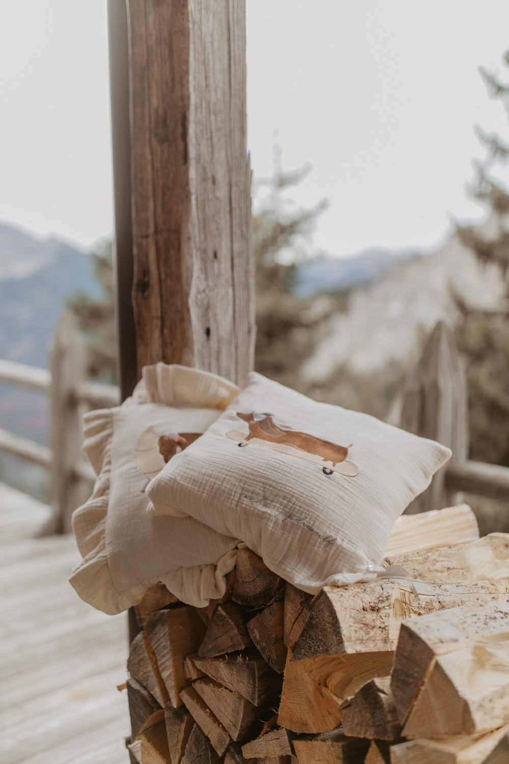 Muslin Cushion Cover 'Skateboard Dog'