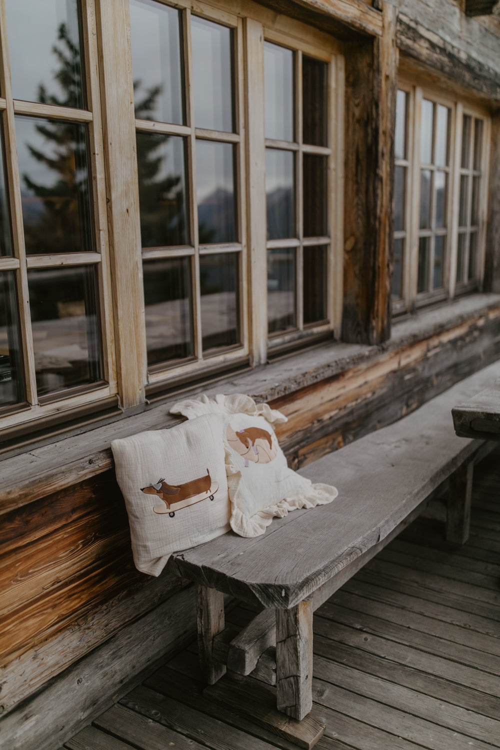 Muslin Cushion Cover 'Skateboard Dog'