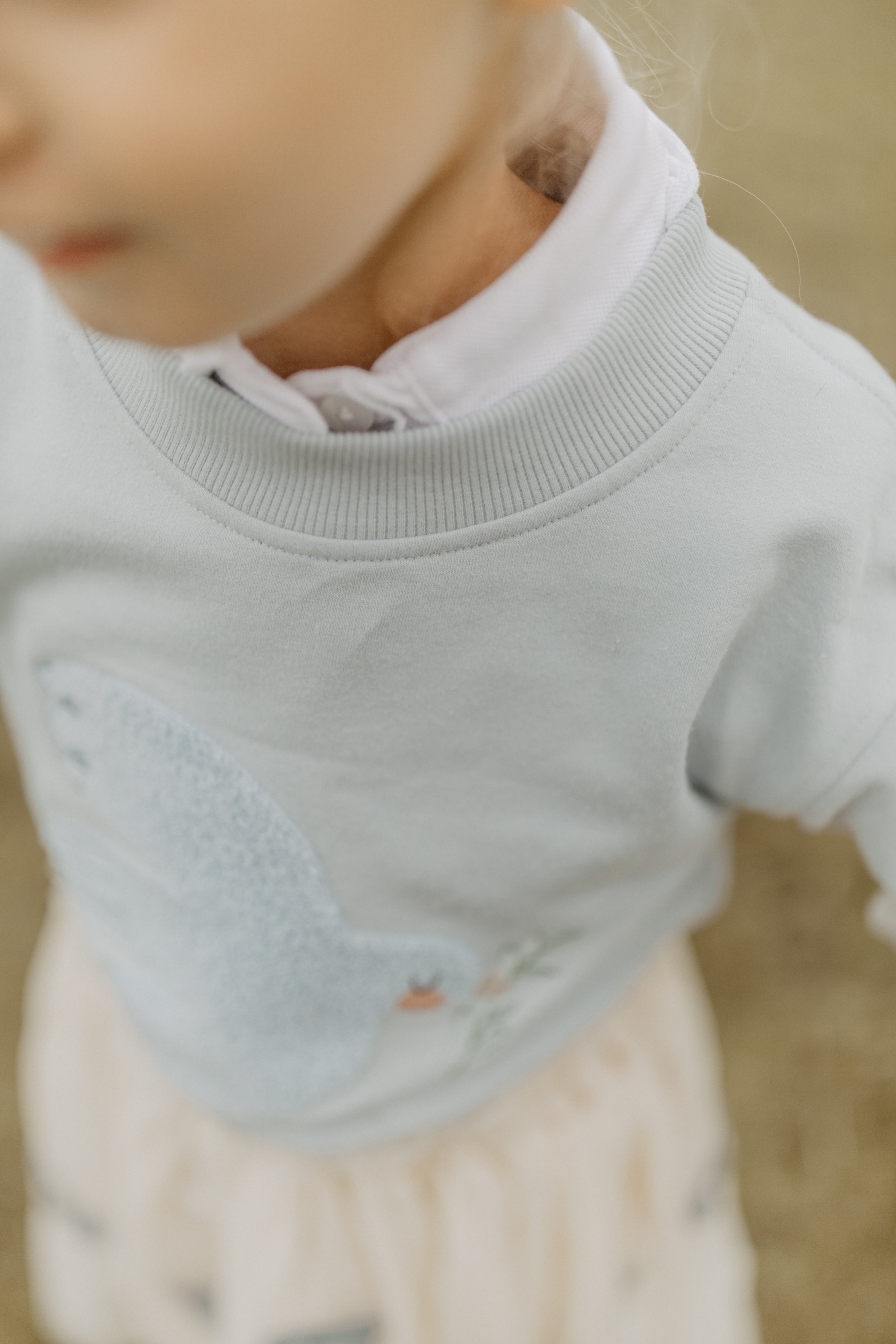 Sweatshirt 'bird' mit Rüschensaum in clear blue
