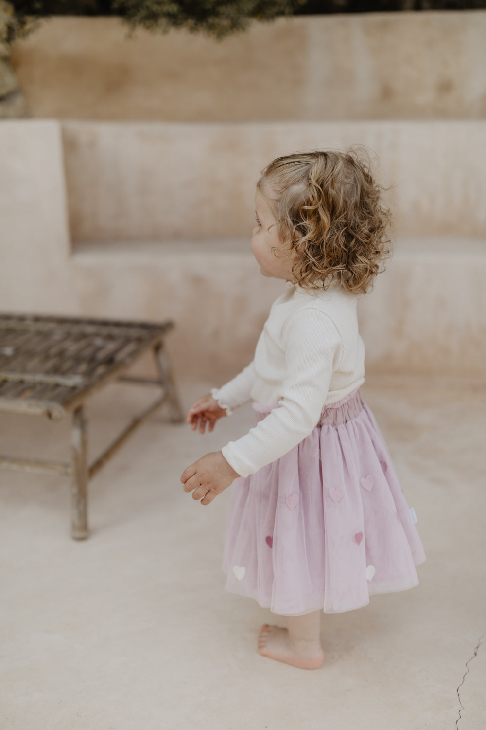 Embroidered Tulle Skirt ‘Hearts’