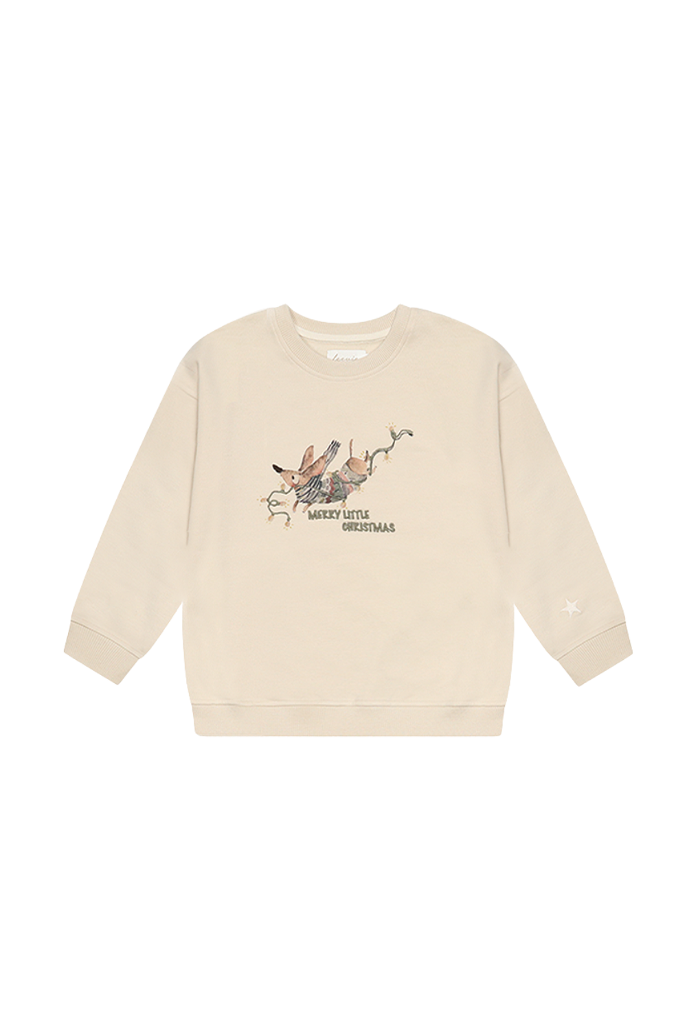 Unisex oversized sweatshirt met teckel 'fairy lights'