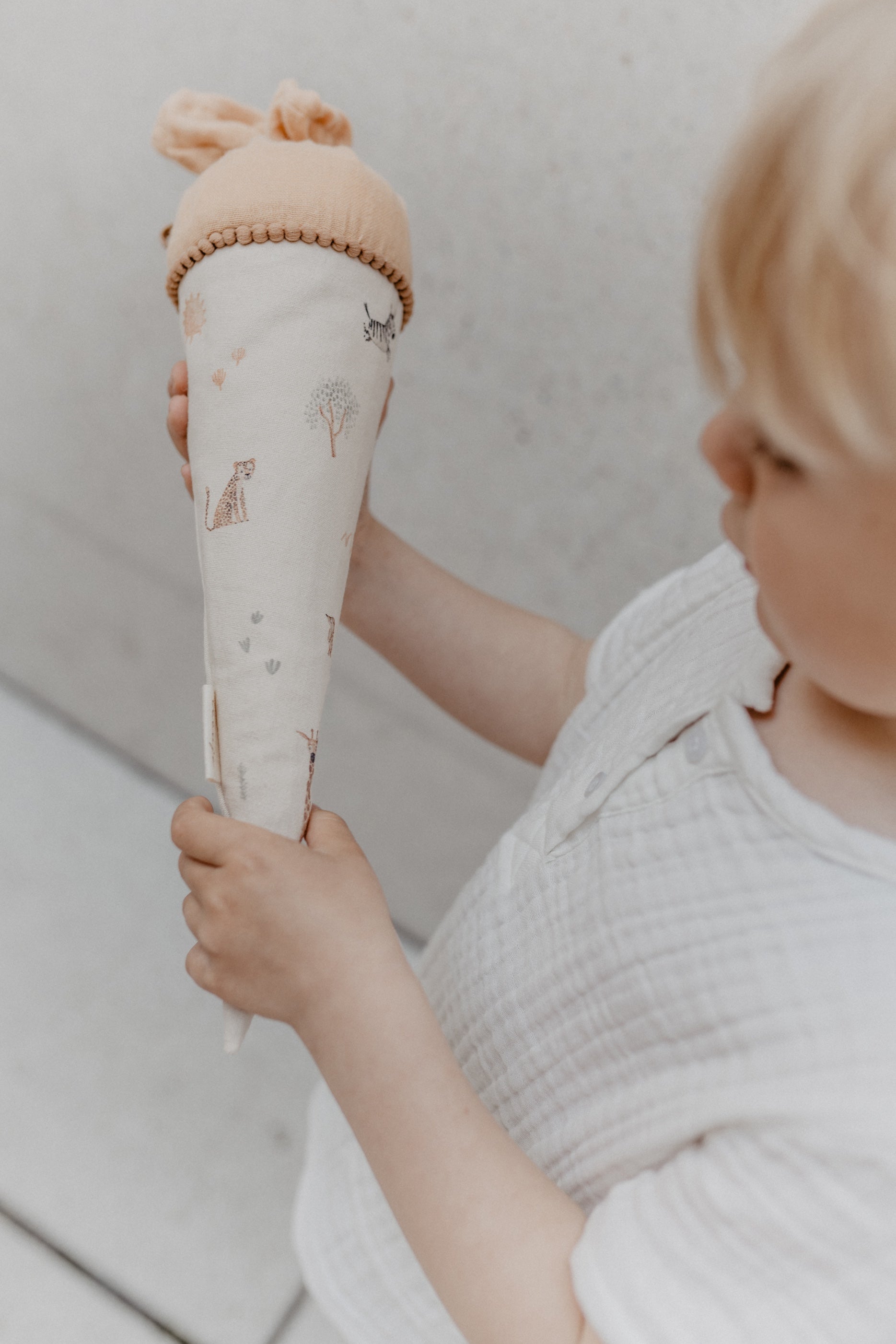 Small "Safari" school cardboard cone and filling cushion