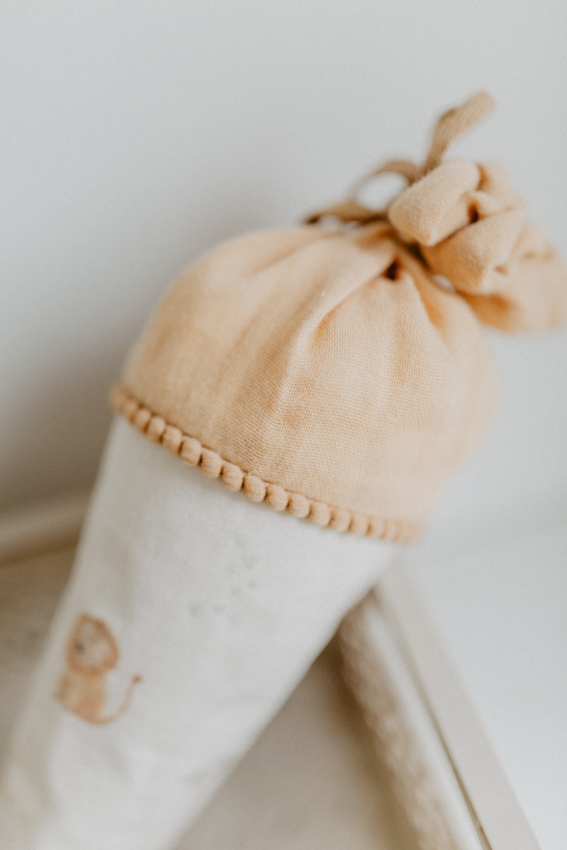 Small "Safari" school cardboard cone and filling cushion