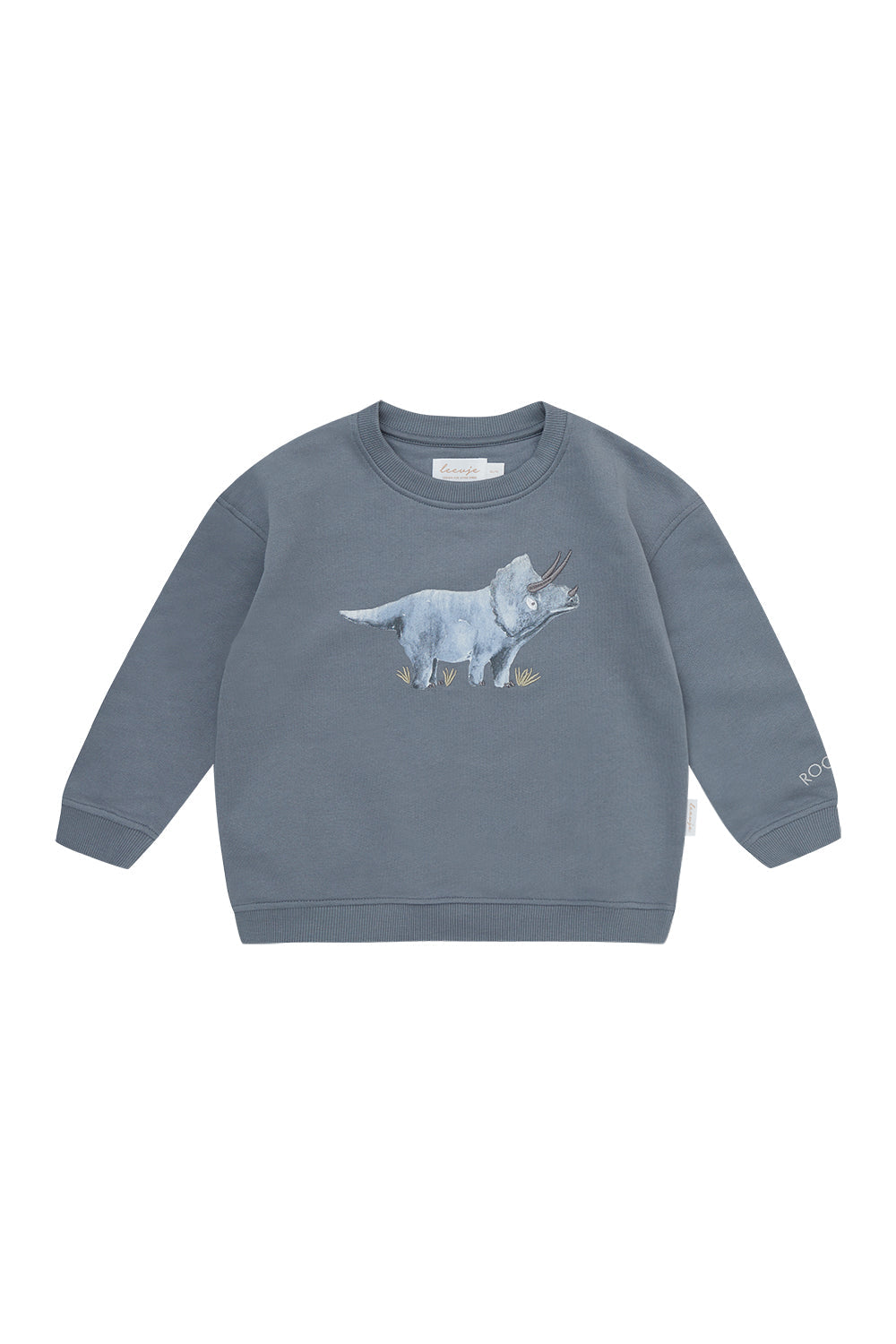 Oversized sweatshirt 'big Triceratops'