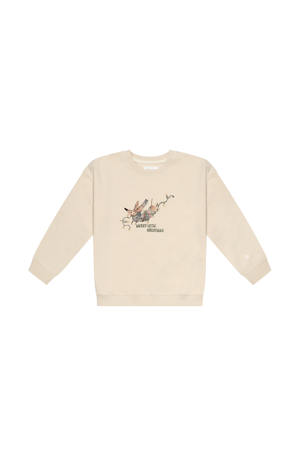 Unisex Oversized Sweatshirt Dackel 'fairy lights'
