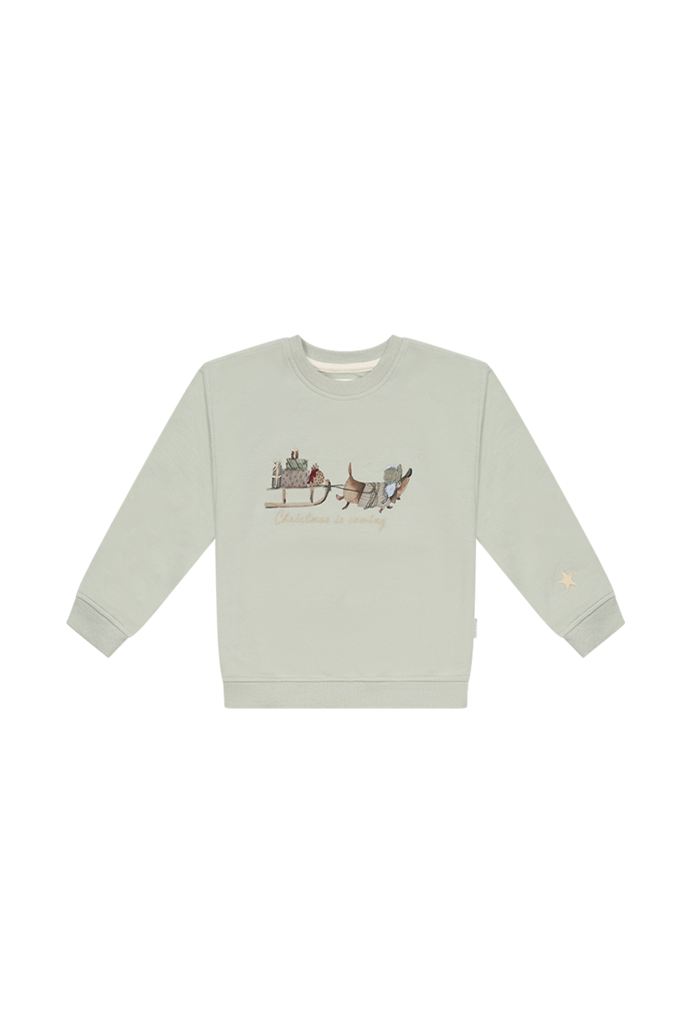 Unisex Oversized Sweatshirt Dackel 'christmas is coming'
