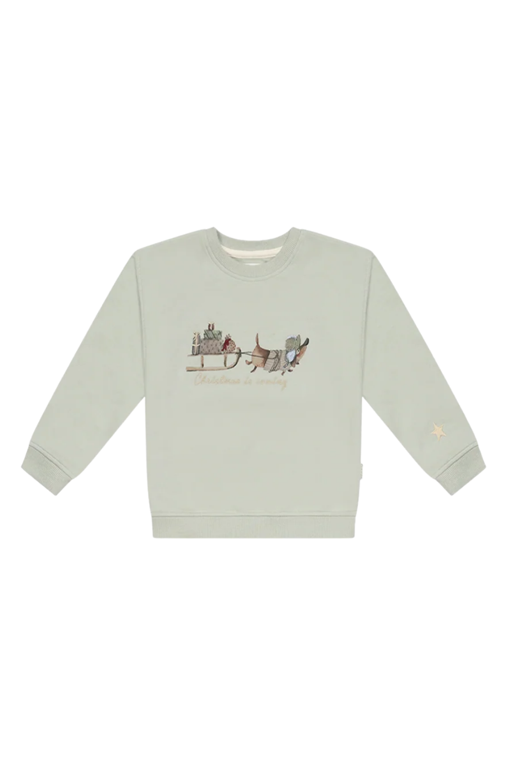Unisex oversized sweatshirt met teckel 'christmas is coming'
