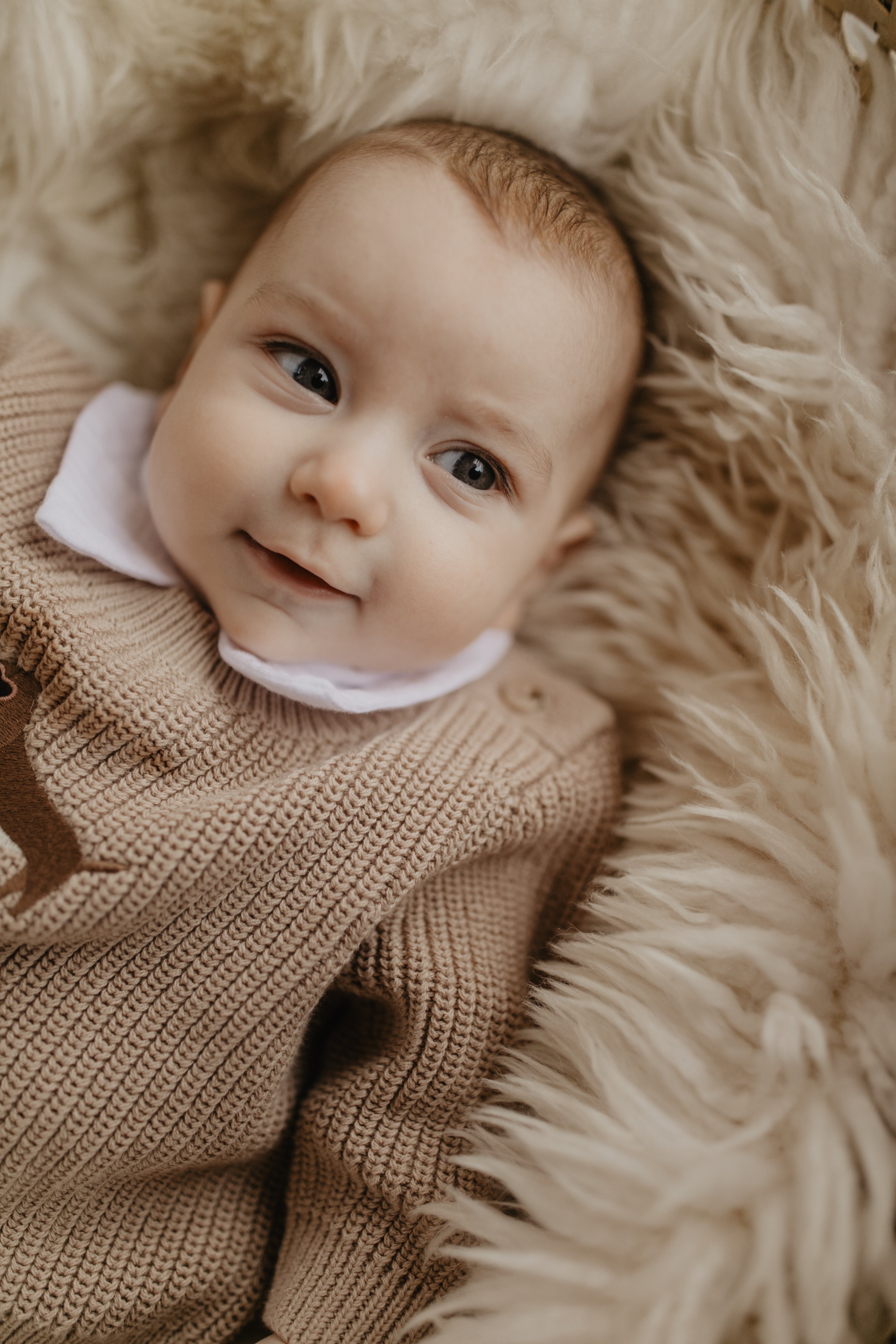 Baby Chunky-Strickpullover 'Dog' dusty rose