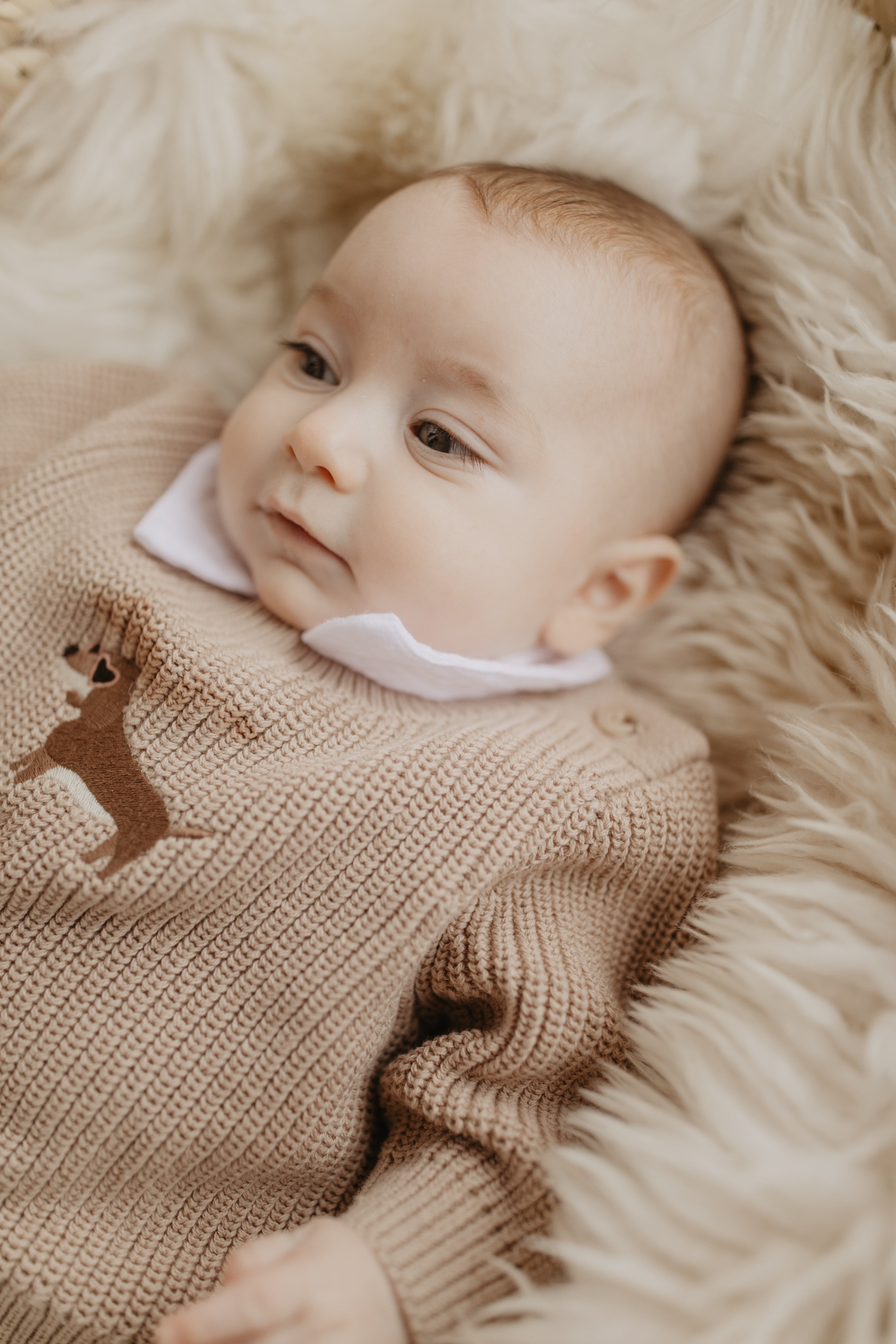 Baby Chunky-Strickpullover 'Dog' dusty rose