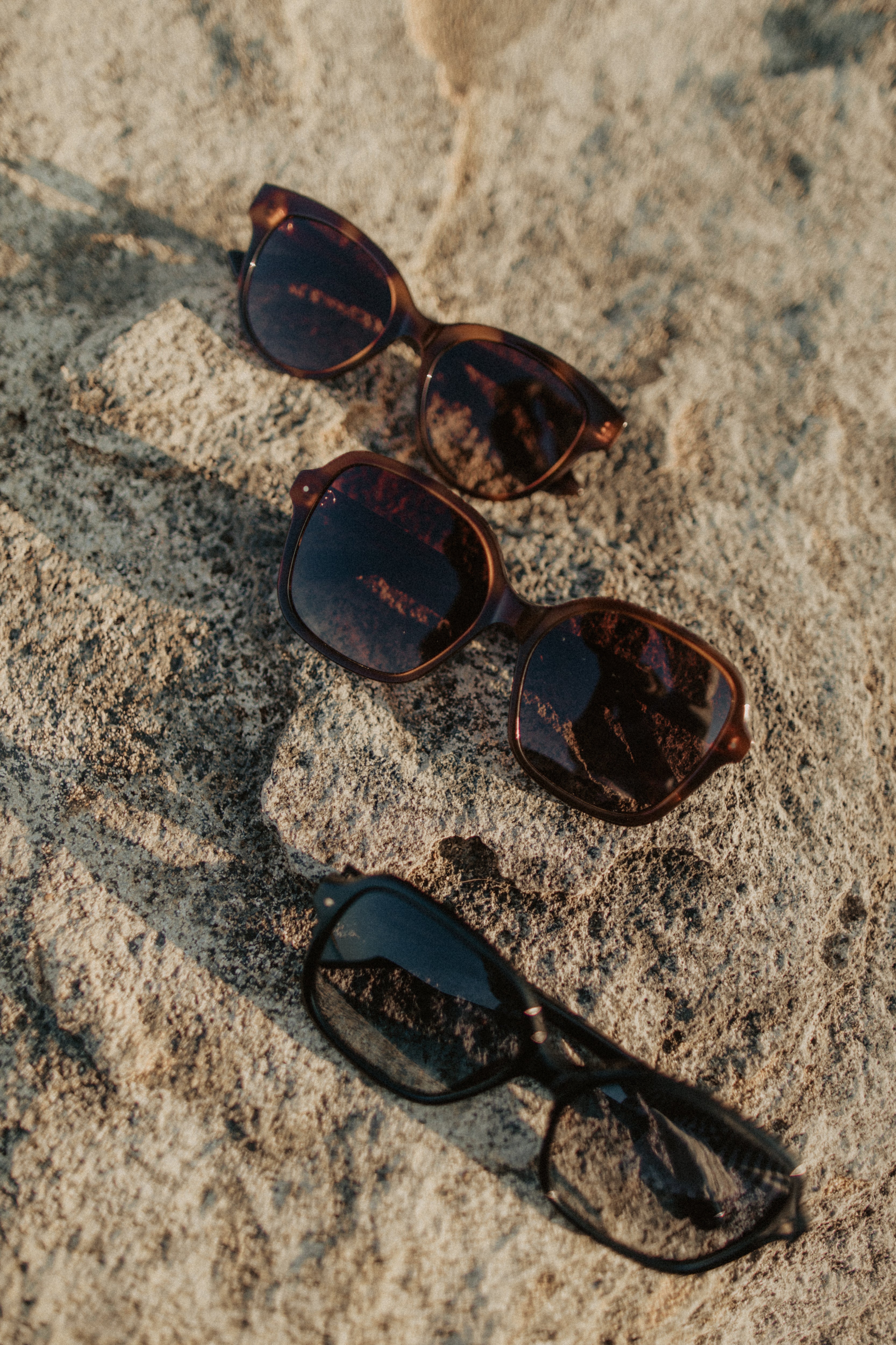 01.07.32 — The Sunglasses / Brown 'I AM CONFIDENT'