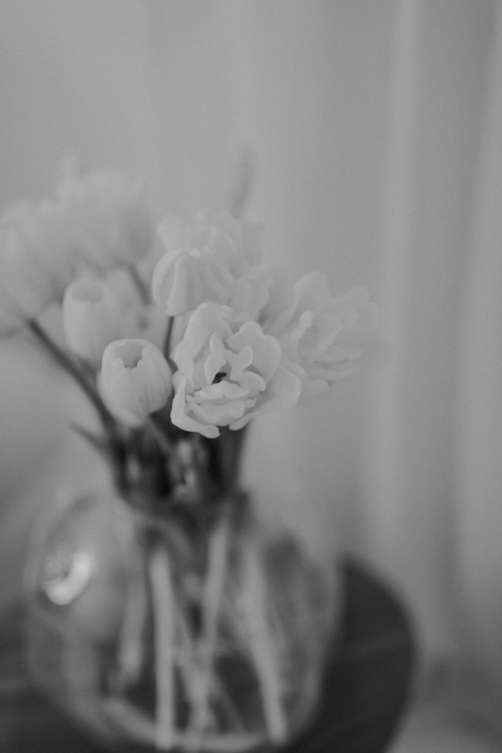 01.08.02 — The Bouquet / White Tulip