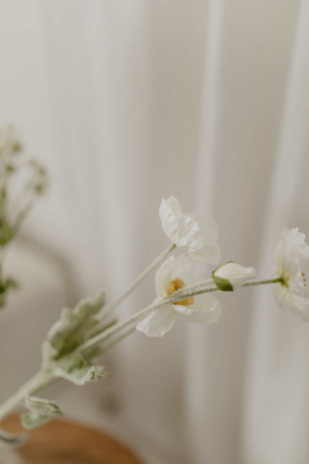 01.08.02 — The Bouquet / Natural