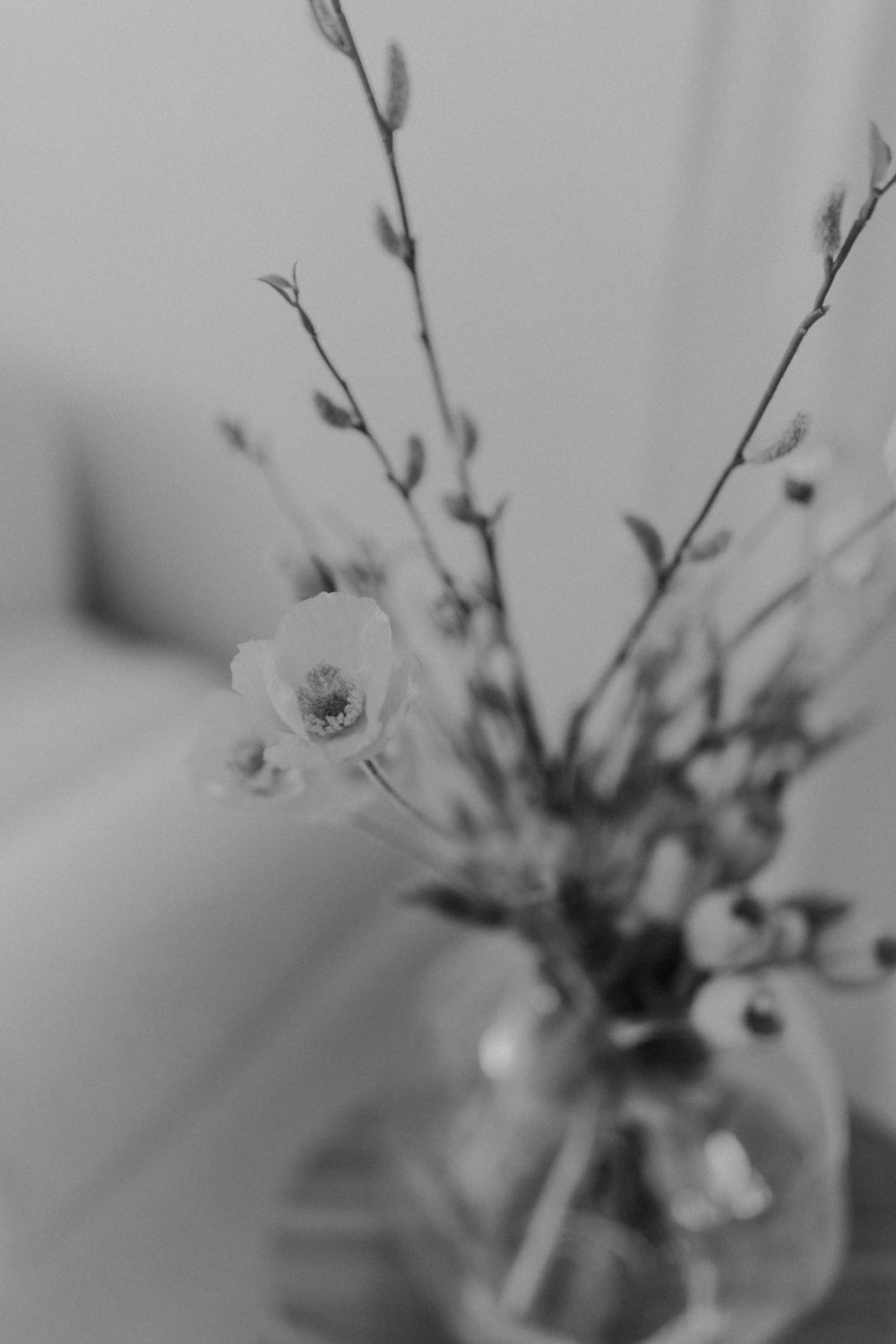 01.08.02 — The Bouquet / Spring Awakening