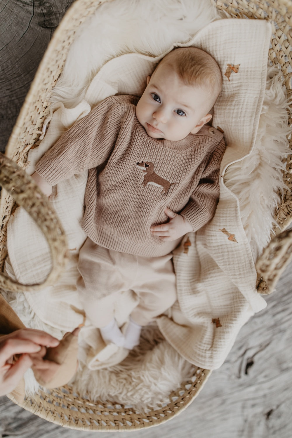 Baby-Leggings aus Bio-Baumwolle 'light beige'