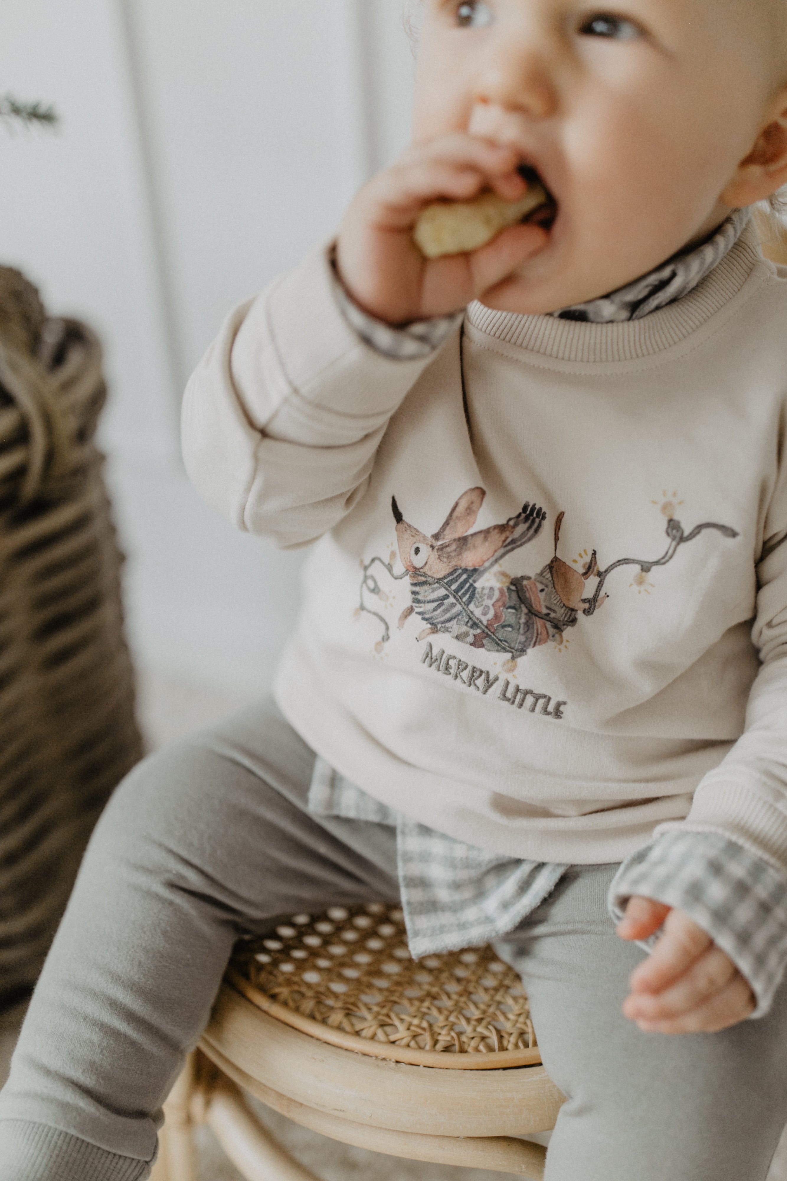 Unisex Oversized Sweatshirt Dackel 'fairy lights'