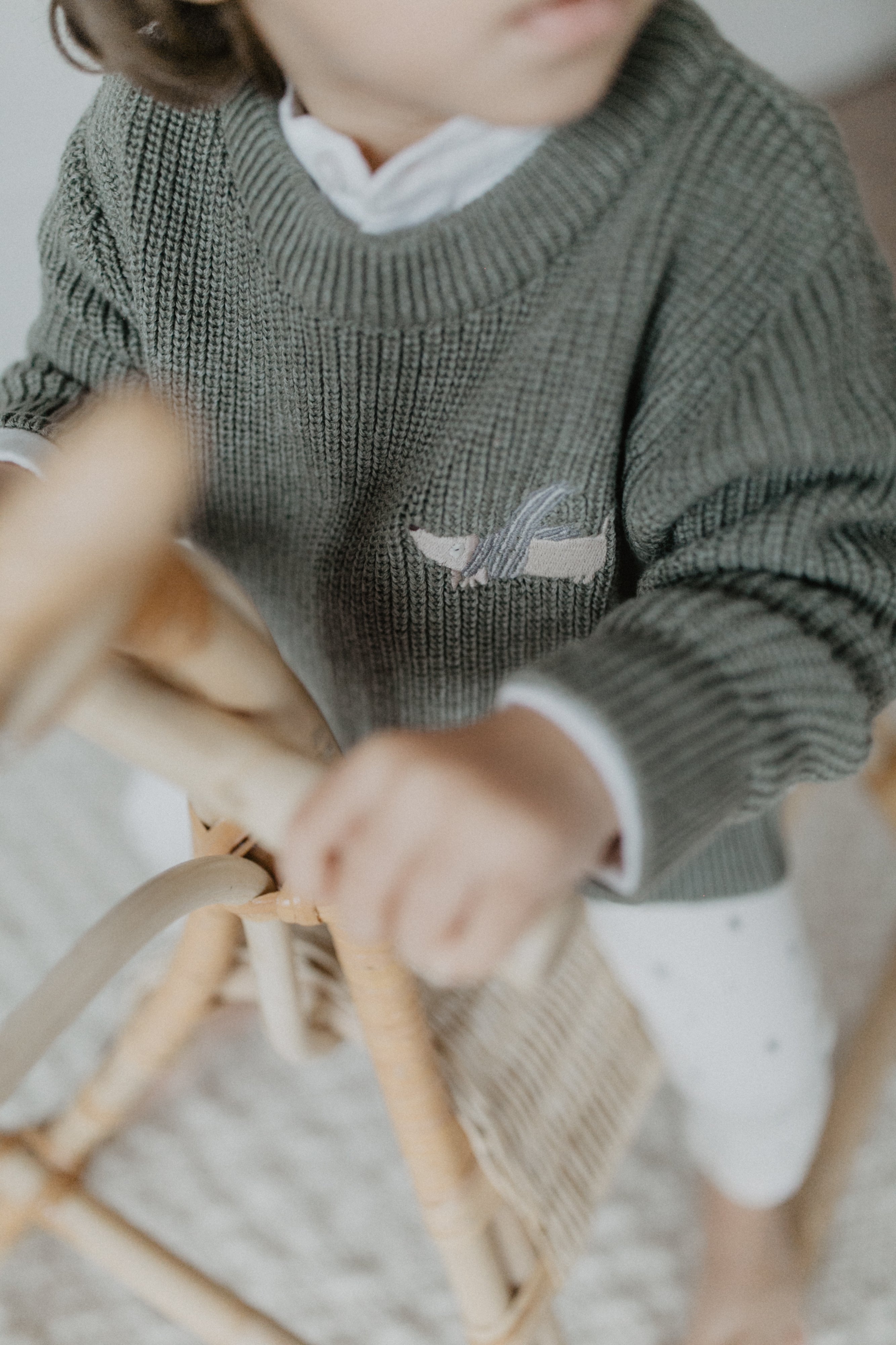 Chunky Knit Pullover 'little dog'