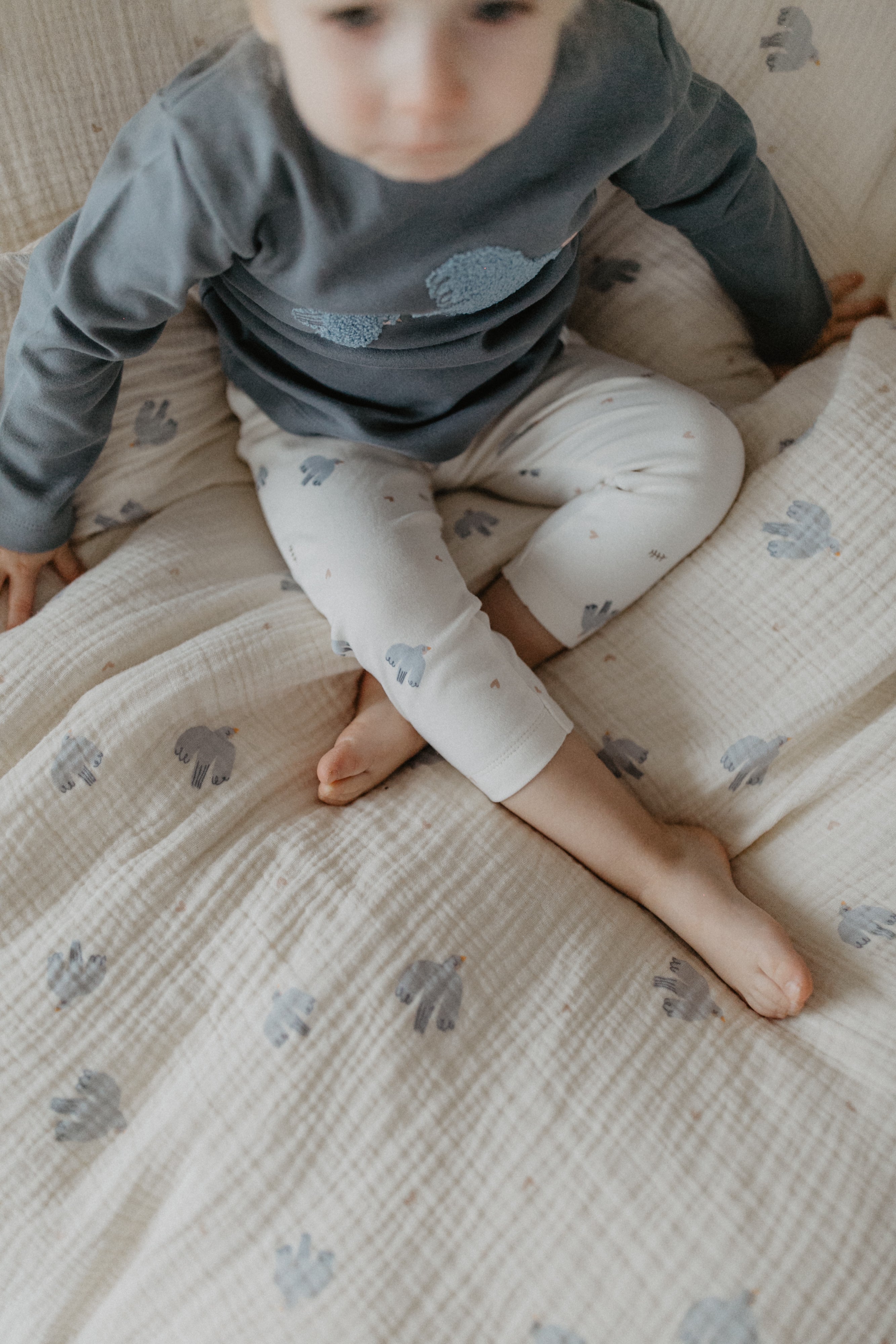 Pyjama Set 'birds' aus Bio-Baumwolle