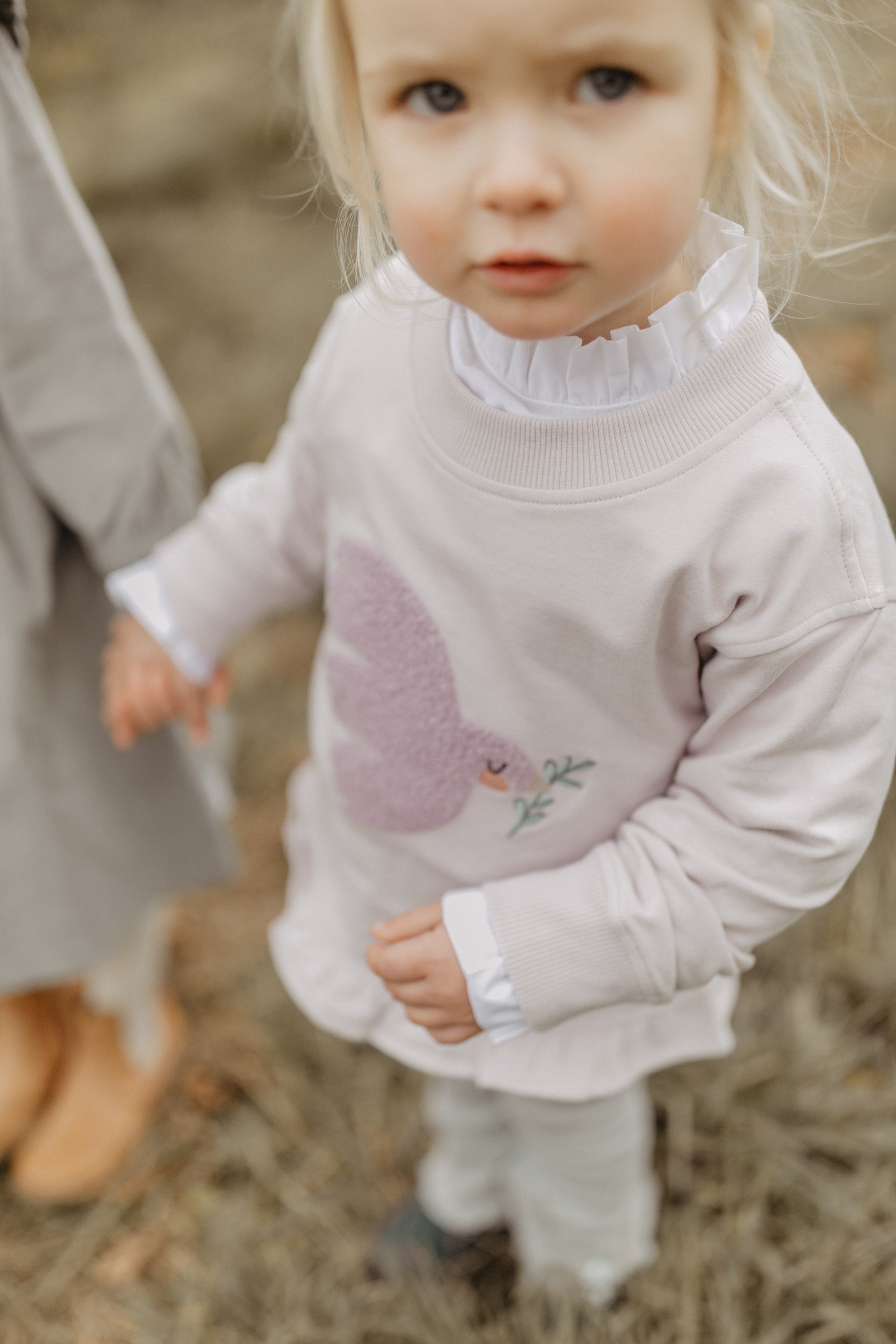 Sweatshirt 'bird' mit Rüschensaum in lavender