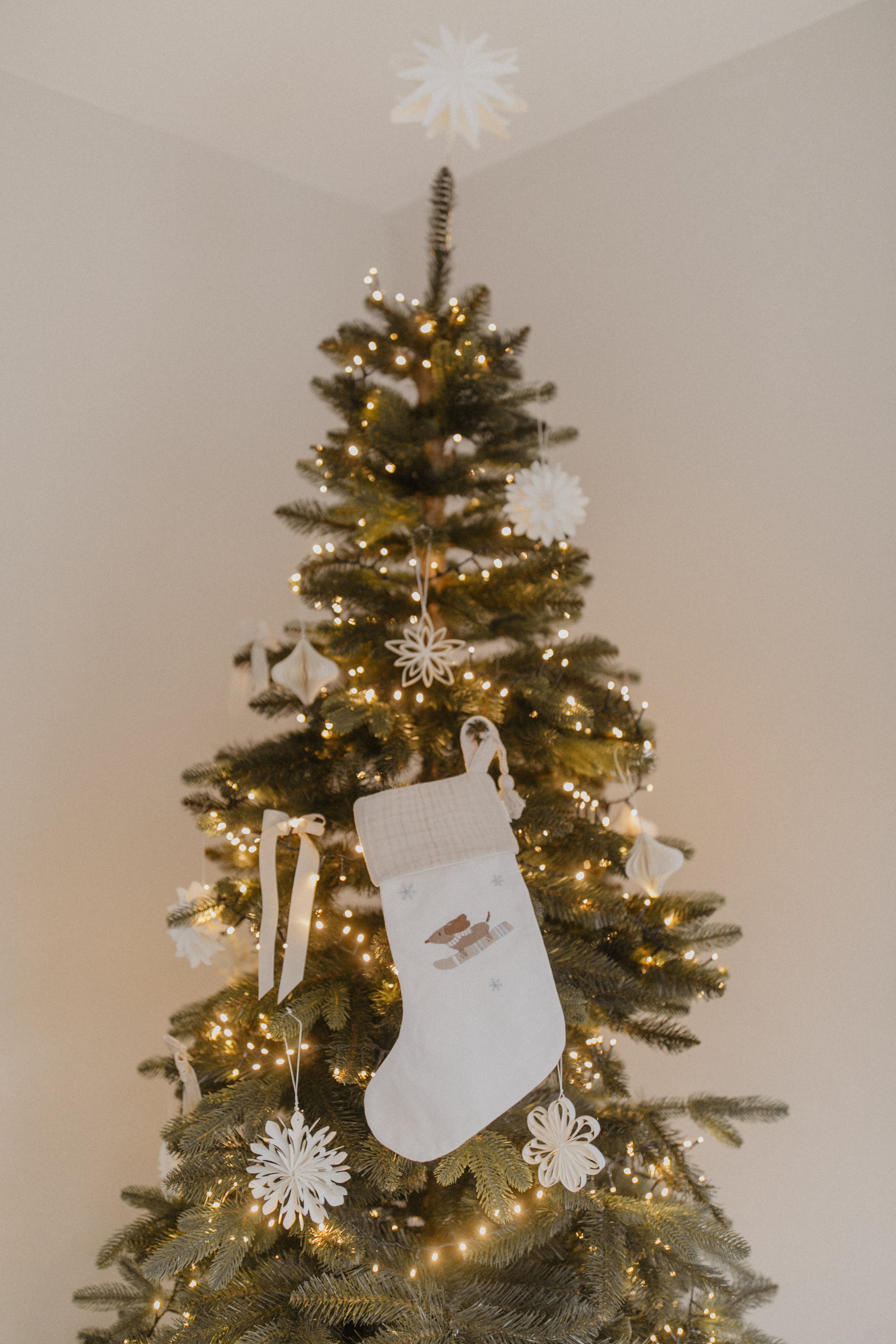Weihnachtsstrumpf 'dog'